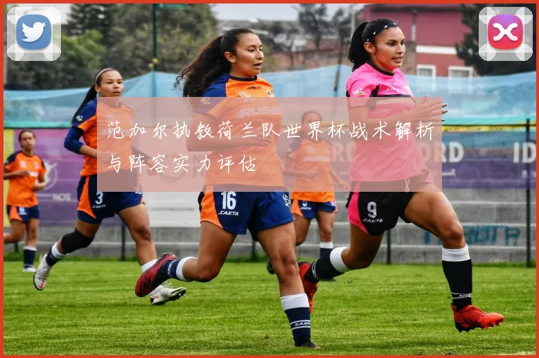 范加尔执教荷兰队世界杯战术解析与阵容实力评估