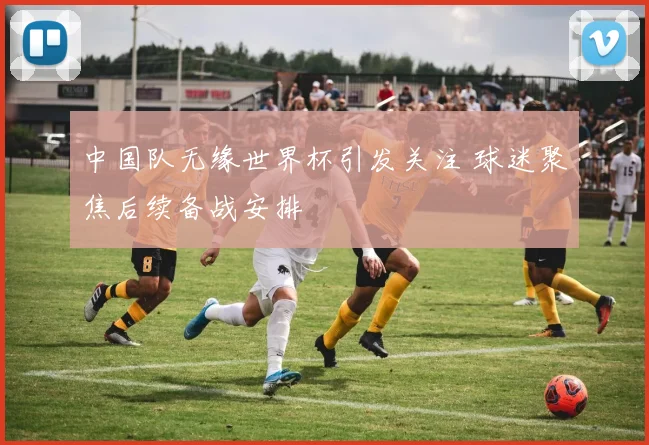 中国队无缘世界杯引发关注 球迷聚焦后续备战安排